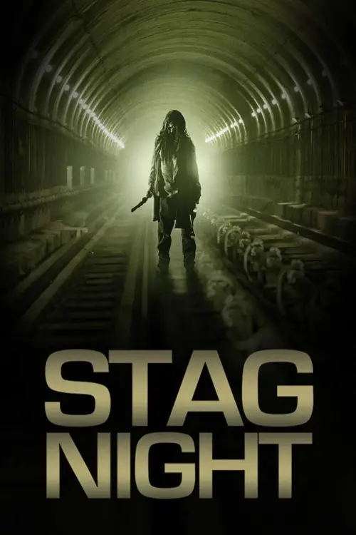 Movie poster "Stag Night"