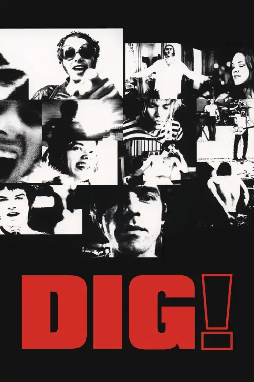 Movie poster "Dig!"