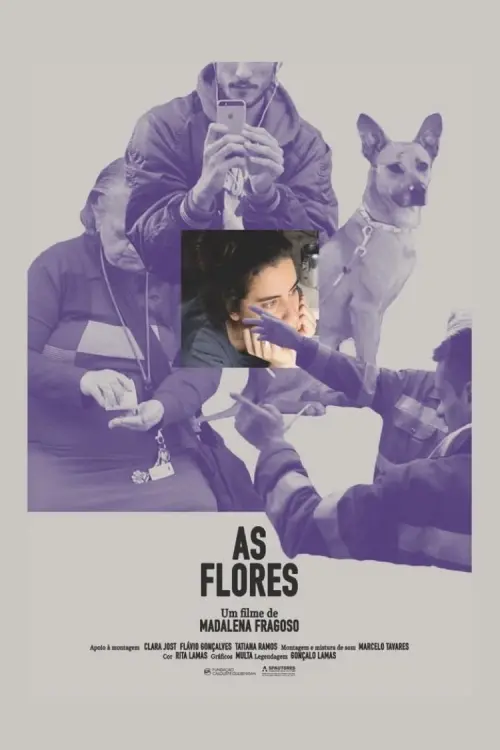 Movie poster "As Flores"