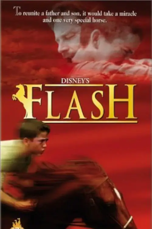 Movie poster "Flash"