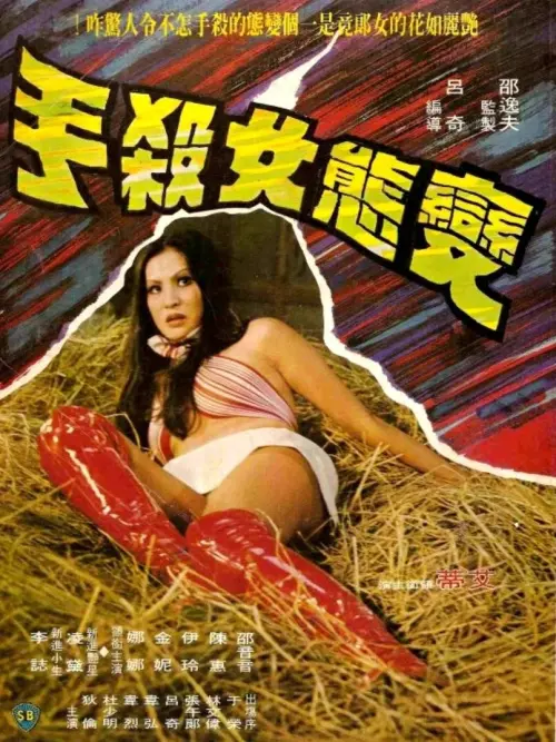 Movie poster "Mysterious Lady Killer"