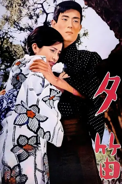Movie poster "Lost Love"