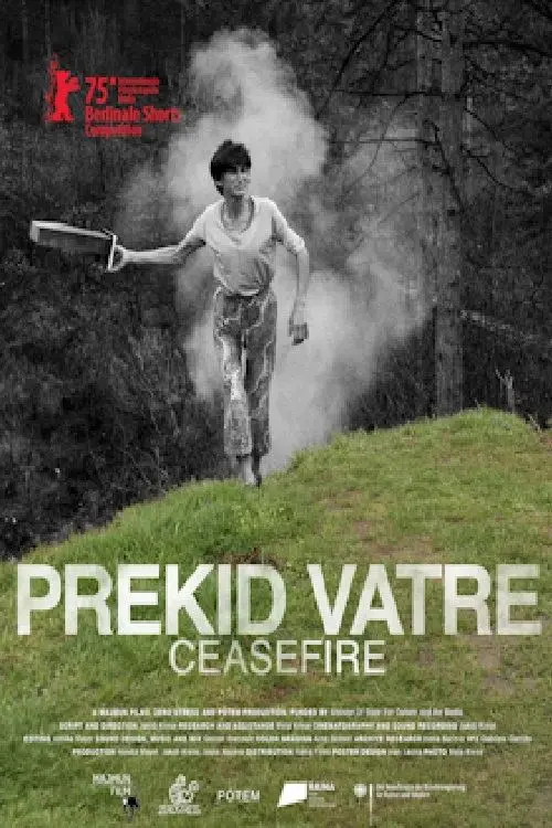 Movie poster "Ceasefire"