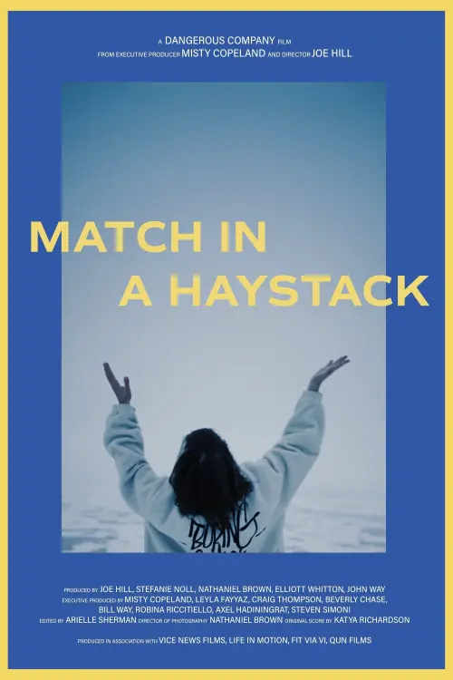 Movie poster "Match In A Haystack"