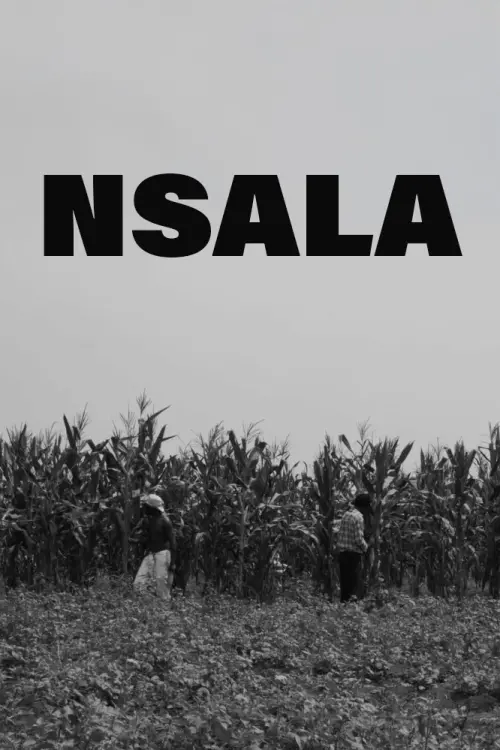 Movie poster "Nsala"