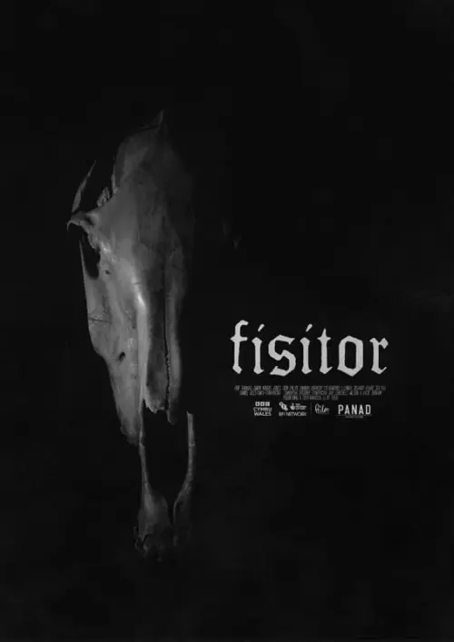 Movie poster "Fisitor"