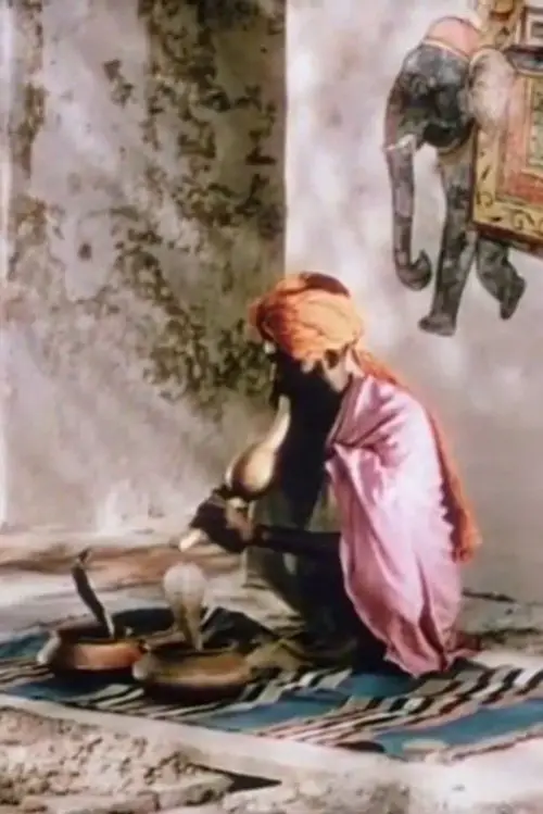 Movie poster "A Road in India"