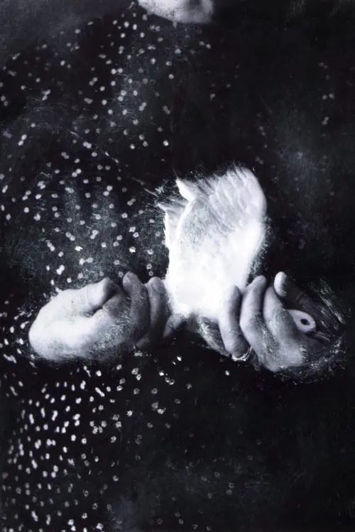 Movie poster "A Place to Call Home"