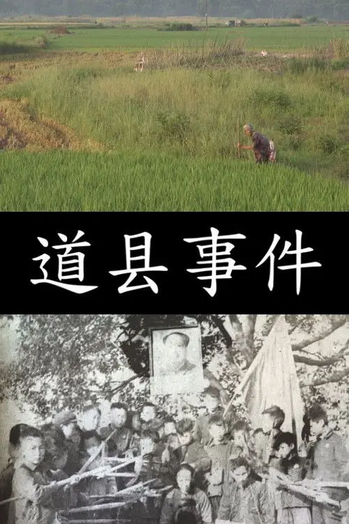 Movie poster "The Daoxian Incident"