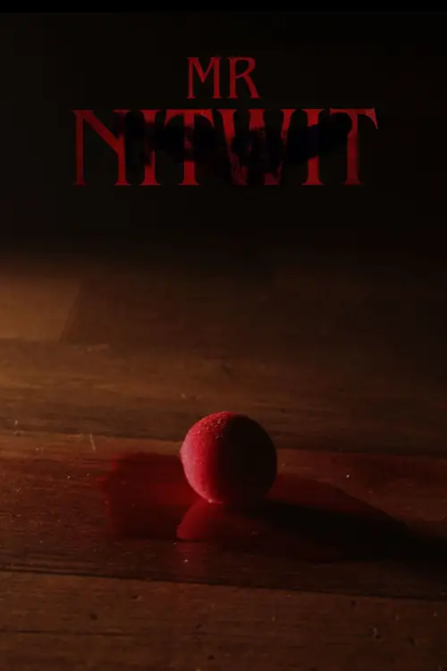 Movie poster "Mr Nitwit"