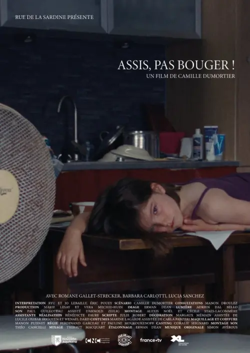Movie poster "Assis, pas bouger"