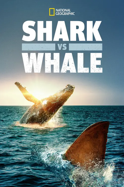 Movie poster "Shark Vs. Whale"