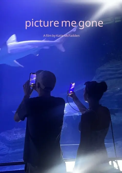 Movie poster "Picture Me Gone"