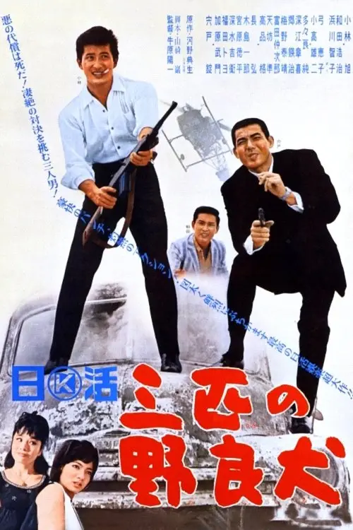 Movie poster "Three Stray Dogs"