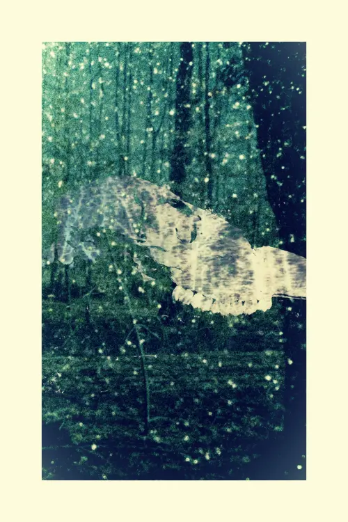 Movie poster "Falling Star"