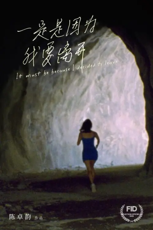 Movie poster "It Must Be Because I Decided to Leave"