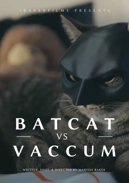Movie poster "BatCat vs Vacuum"
