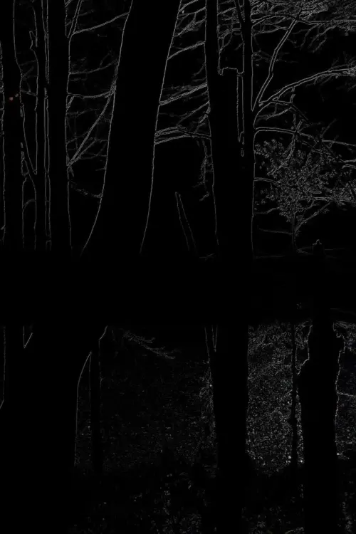 Movie poster "The Heart of the Wood"