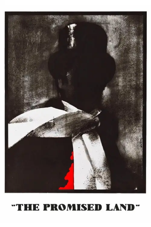 Movie poster "The Promised Land"