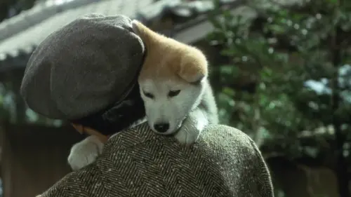 Watch film Hachiko | Hachiko (1987) ORIGINAL TRAILER [HD 1080p]