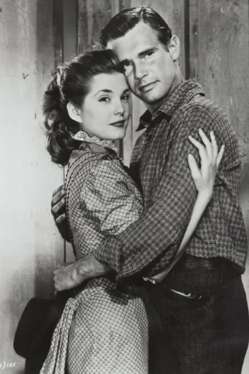 Movie poster "Man with the Gun"