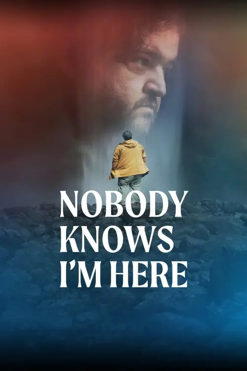 Movie poster "Nobody Knows I
