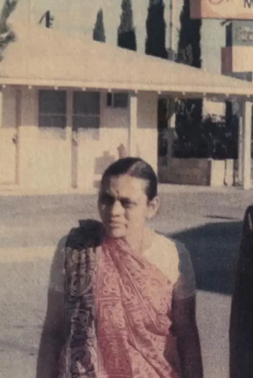 Movie poster "The Patel Motel Story"