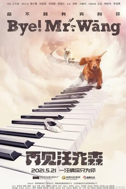 Movie poster "Bye, Mr Wang!"