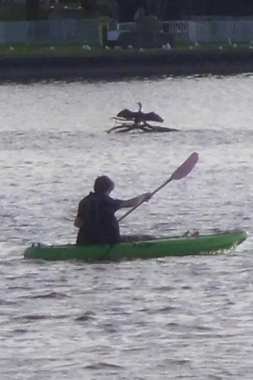 Movie poster "My Life"