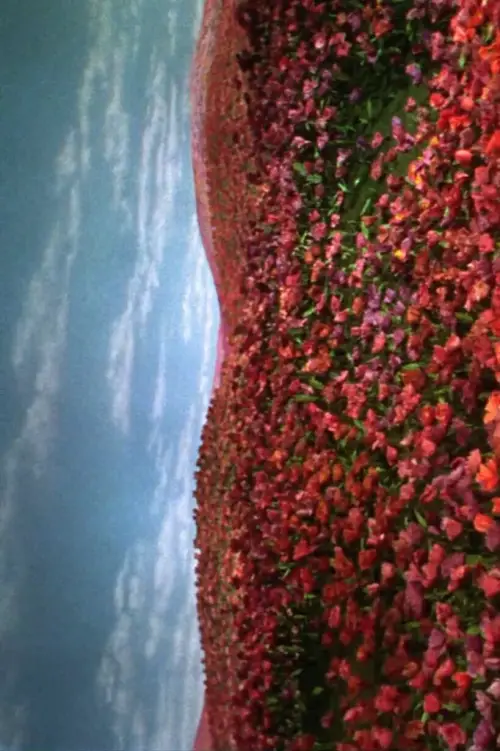 Movie poster "Insomnio doméstico"