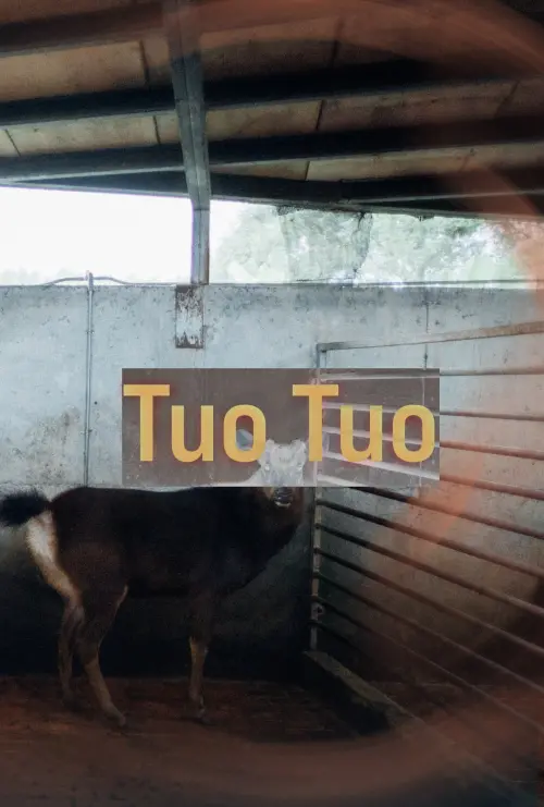 Movie poster "Tuo Tuo"
