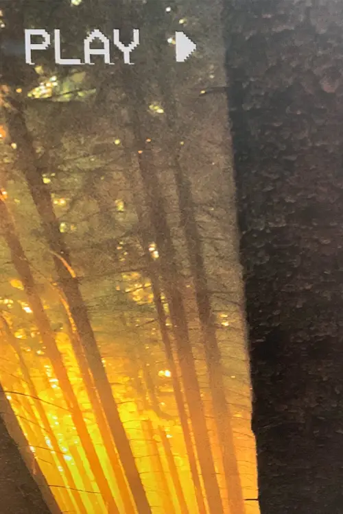 Movie poster "In The Forest"