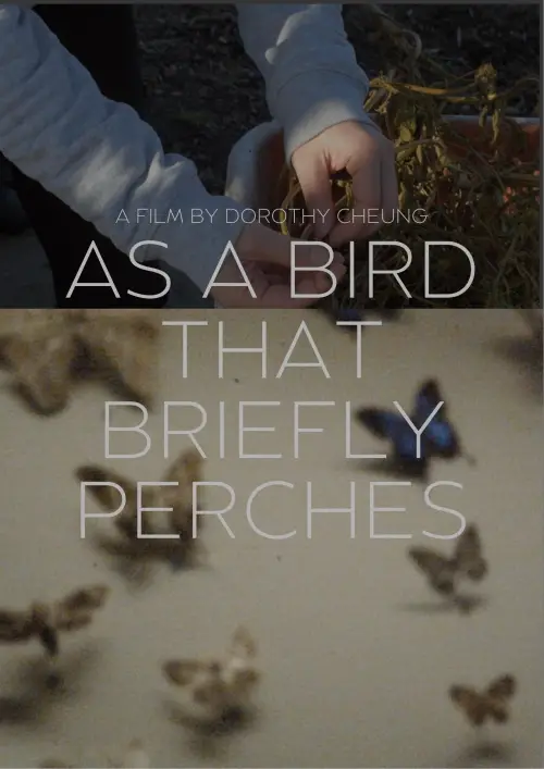 Movie poster "As A Bird That Briefly Perches"
