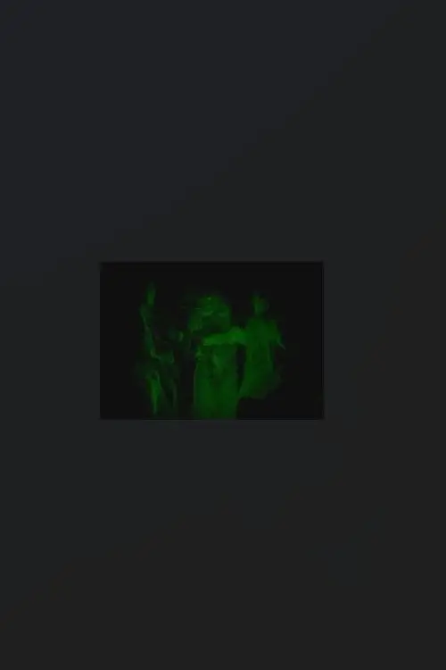 Movie poster "Nuvem"