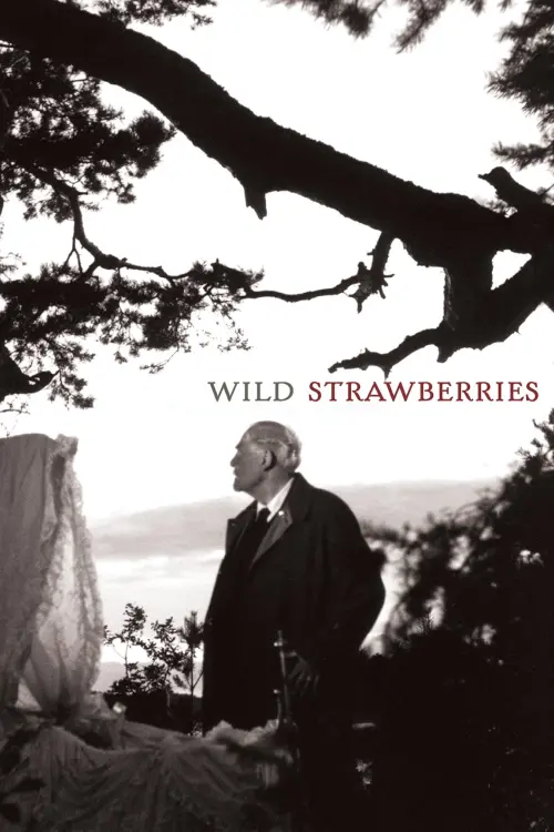 Movie poster "Wild Strawberries"