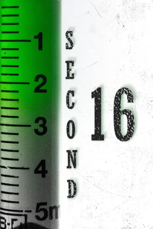 Movie poster "second 16"