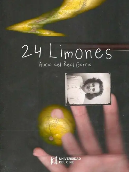 Movie poster "24 Lemons"