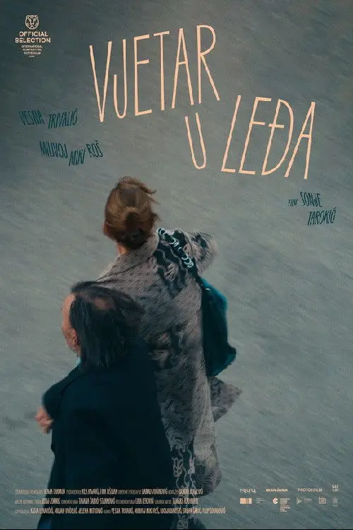 Movie poster "Wind Beneath the Wings"