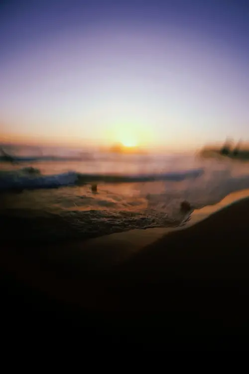 Movie poster "Upcoming Wave"