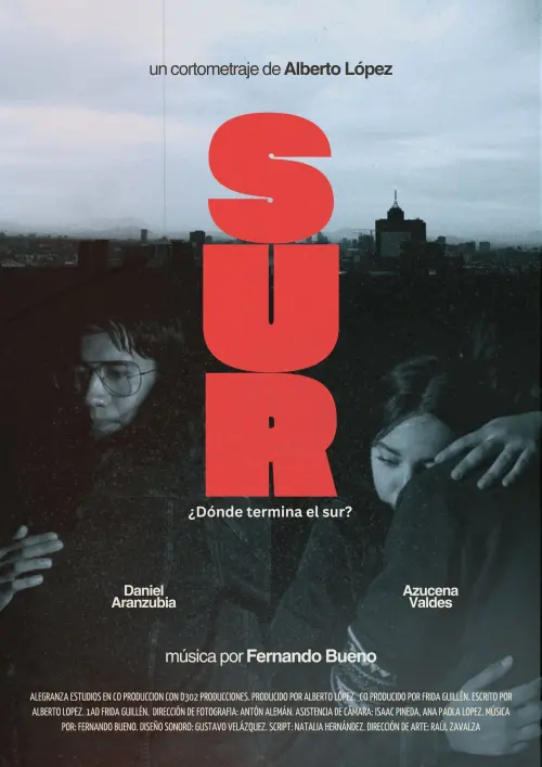 Movie poster "Sur"