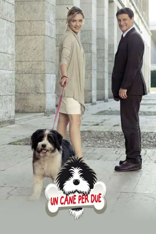 Movie poster "Un cane per due"
