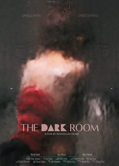 Movie poster "The Dark Room"