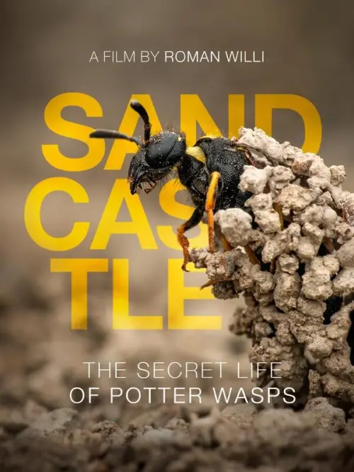 Movie poster "Sandcastle - The Secret Life Of Potter Wasps"