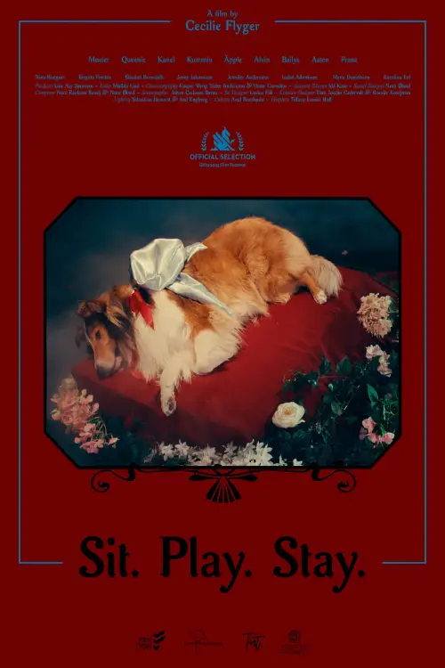 Movie poster "Sit. Play. Stay."