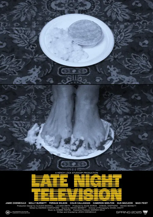 Movie poster "Late Night Television"