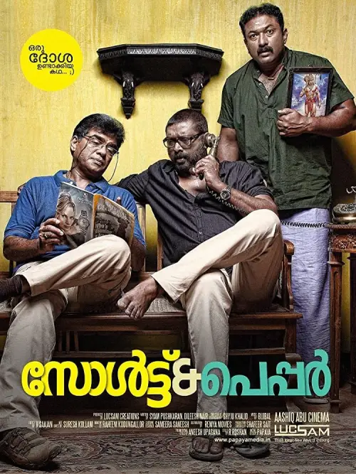 Movie poster "Salt N