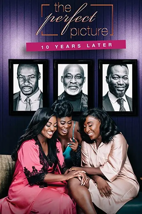 Movie poster "The Perfect Picture: Ten Years Later"