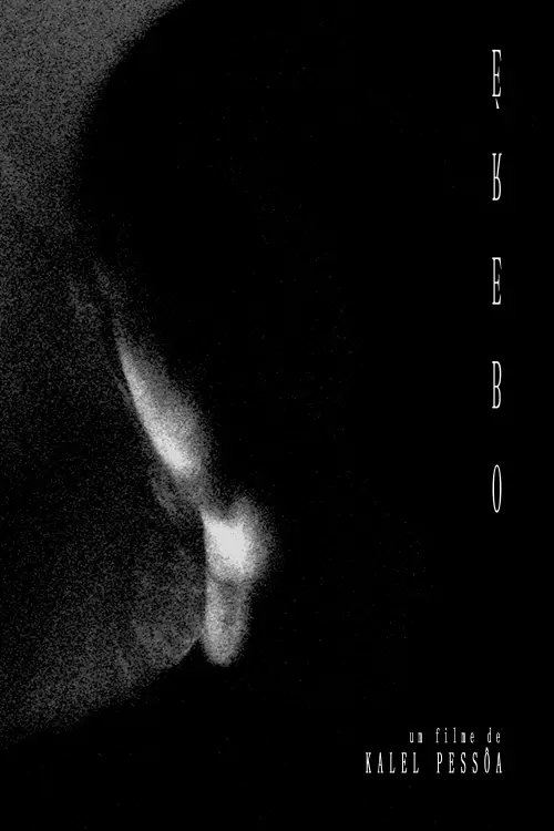 Movie poster "Erebus"