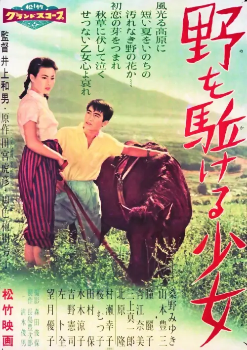 Movie poster "Farewell to Summer"