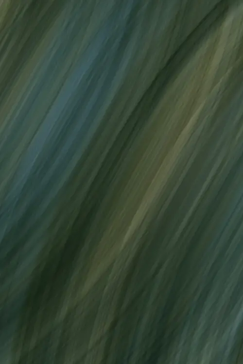 Movie poster "Fabric"